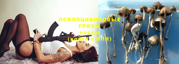 ешки Заводоуковск