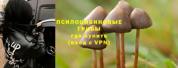 стафф Заволжье