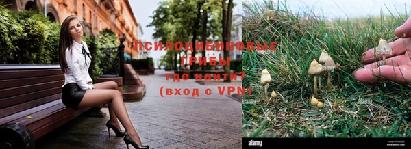 ешки Заводоуковск