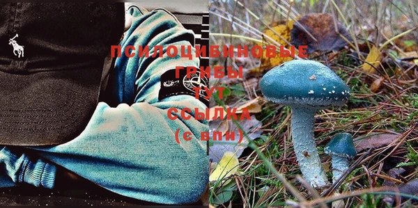 стафф Заволжье