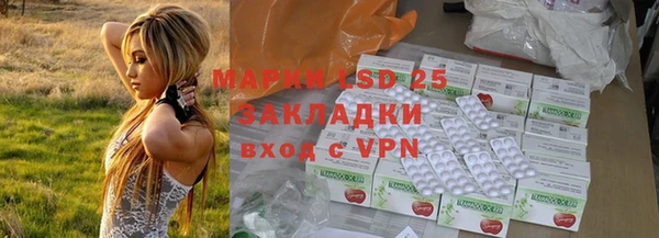 стафф Заволжье