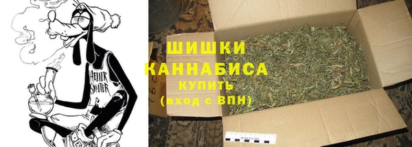 ешки Заводоуковск