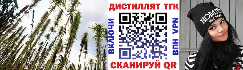 Купить где  Конаково  ТГК вейп 