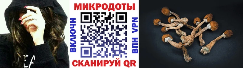 Купить где  Конаково  Псилоцибиновые грибы мицелий 